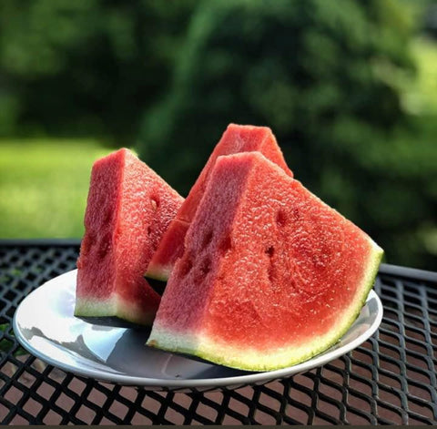 Watermelon for Dog Treats