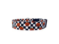 A white and black checked halloween collars with orange jack o lanterns.