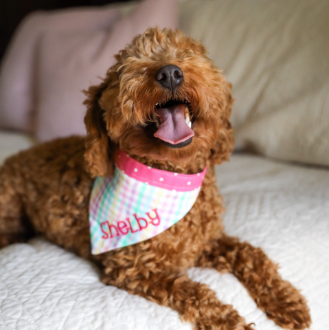 Easter dog bandana. Easter fashion for dogs. Easter basket gift ideas for dog