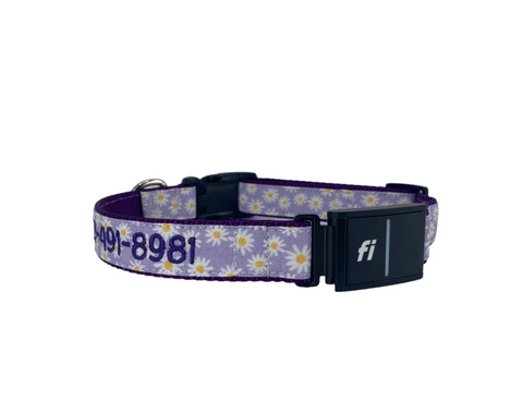Lavender dog collar with daisies on it and engraved name