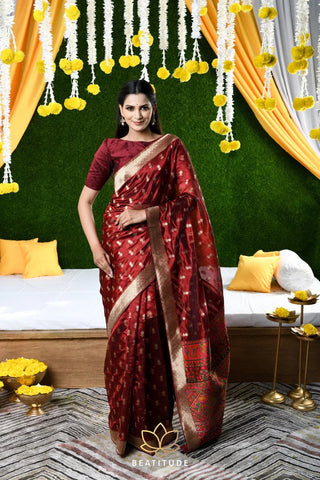 new organza saree