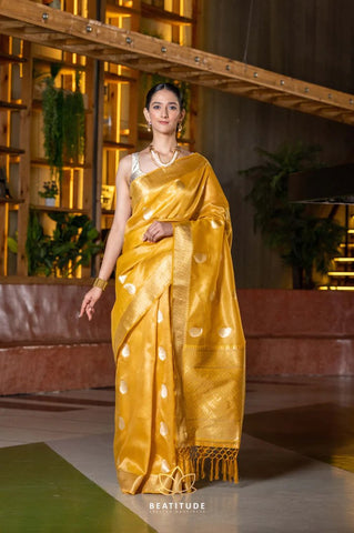 organza fabric sarees online