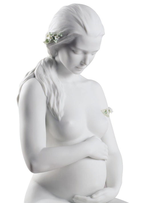  LLADRO Mother Figure A Mother's Embrace in Matte Satin Green  Porcelain. Decorative Figure of a Woman and her Baby in Arms. : Home &  Kitchen