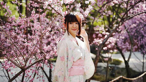 Cherry Blossom Sydney a girl dressed in Kimono