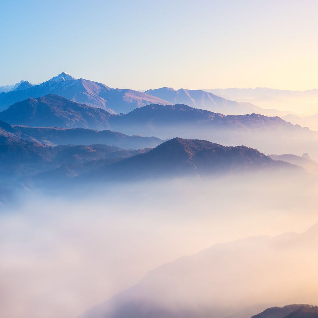 [問題] 雲林虎尾釀大家有推薦嗎?