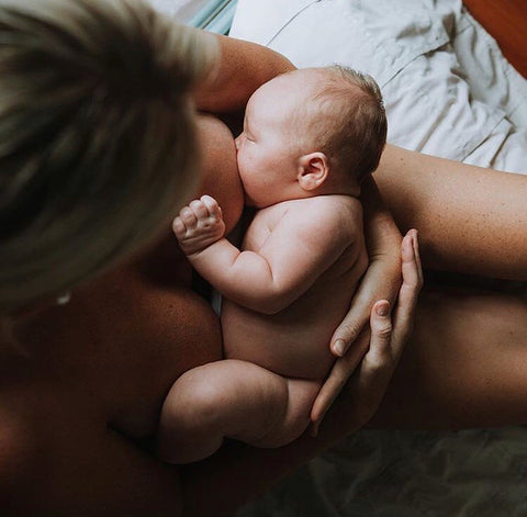 breastfeeding | laine tribes | photography
