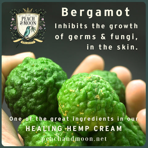 Bergamot