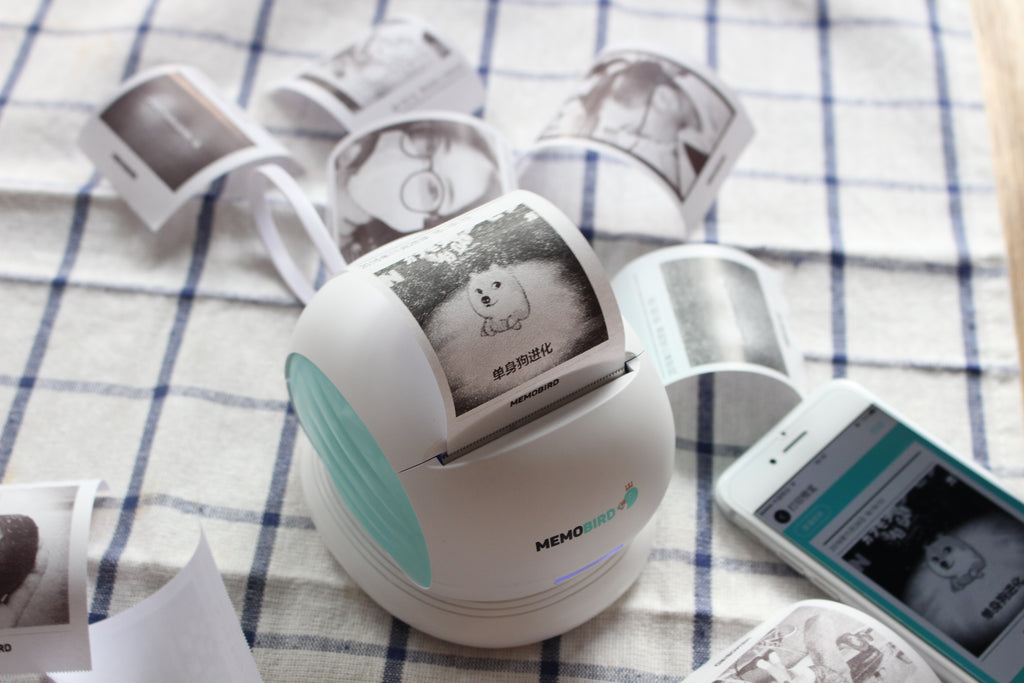 How to print without internet with Memobird portable printer