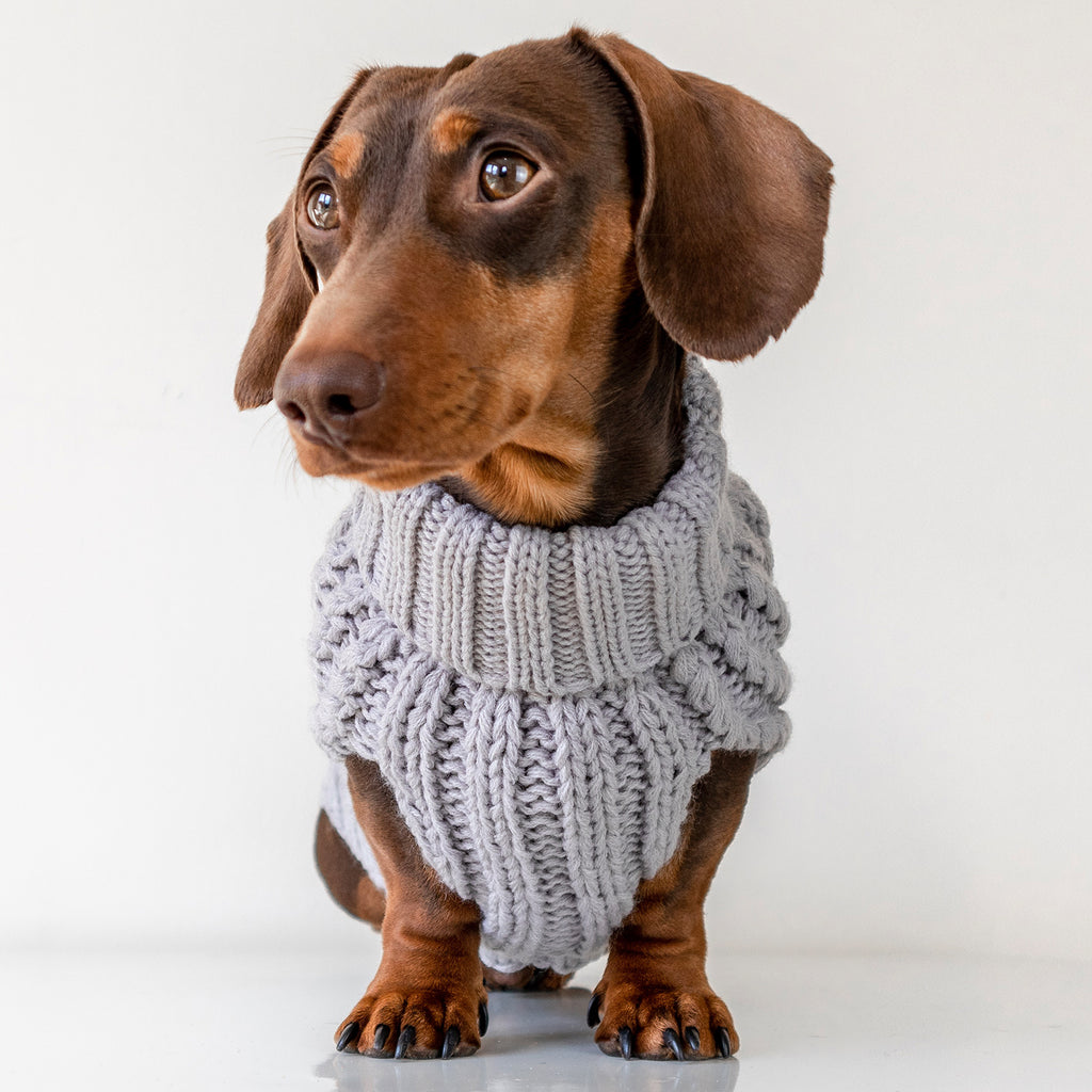 dachshund knitted jumper