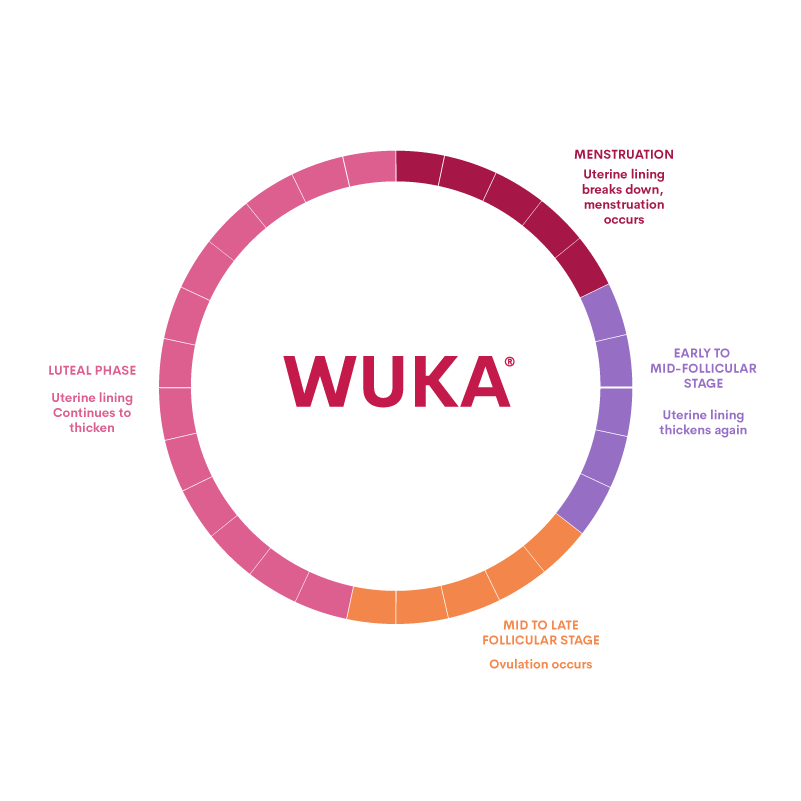 Different Types of Discharge and When They Occur in the Menstrual Cycle - From period days, when the uterine line breaks down to the ovulation you might have vaginal discharge. 