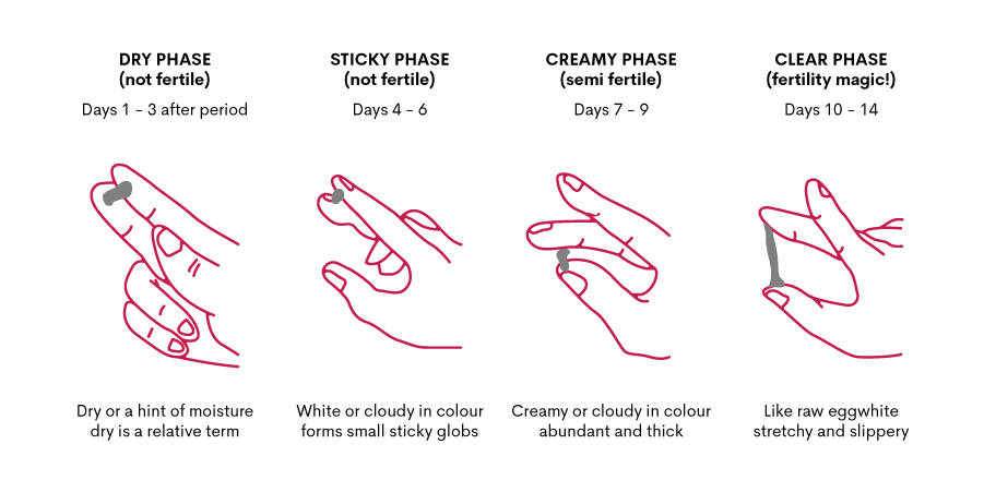 Different Stages & Colours of Vaginal Discharge - What Do They Mean? - Dry, Sticky, White, Thick or Brown has different meanings and stages of your cycle.