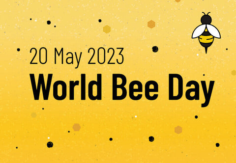 Supporting World Bee Day with Organic Cotton 