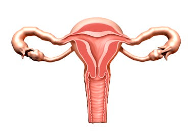 How can pelvic inflammatory disease affect periods?_ image credit: NHS