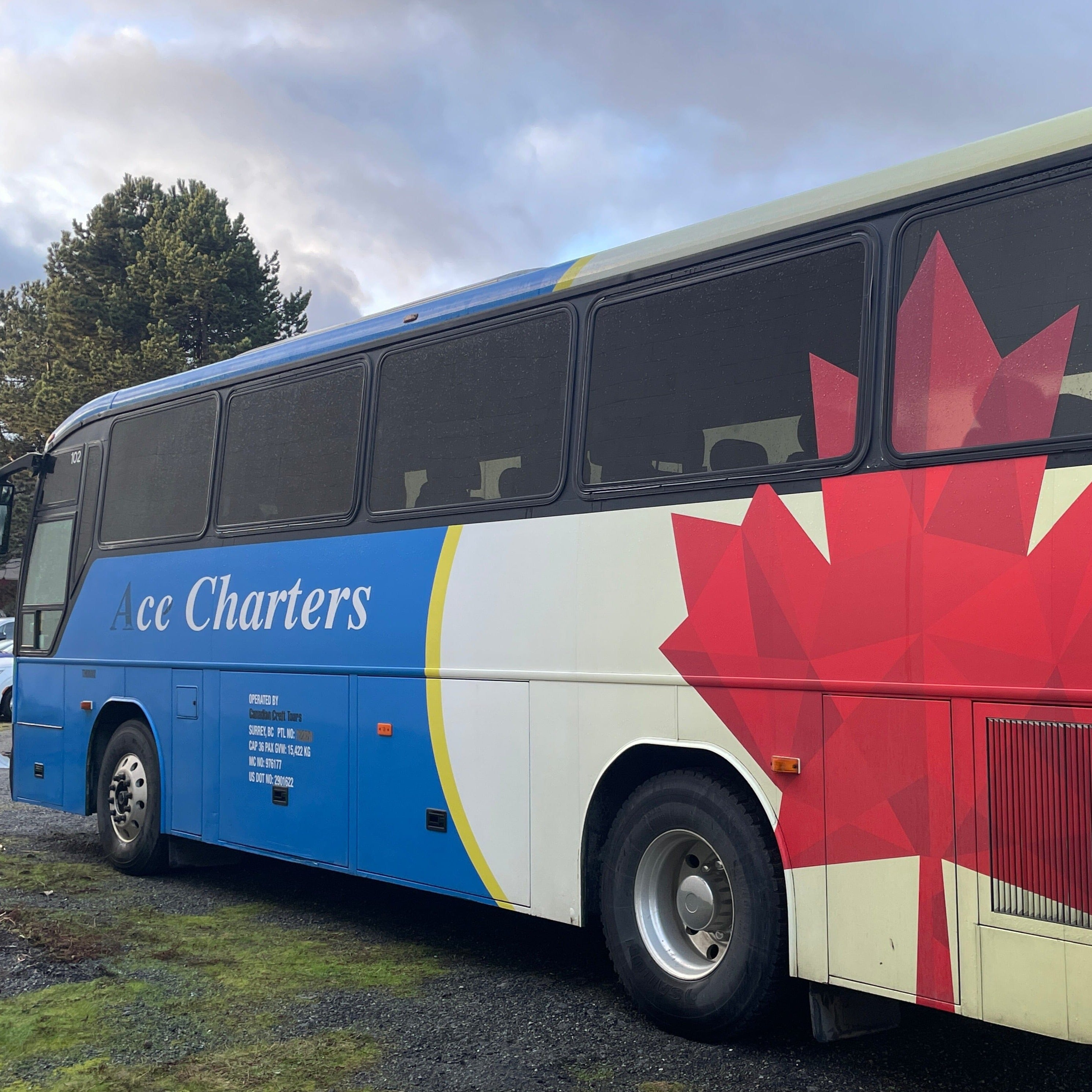 calgary bus tour companies