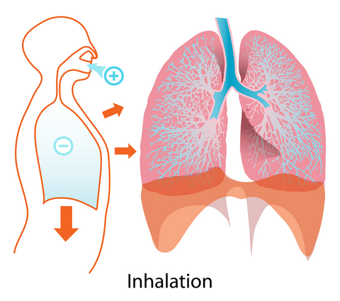Pursed Lip Breathing (PLB) Is A Breathing Technique That Consists of  Exhaling Through Tightly | PDF