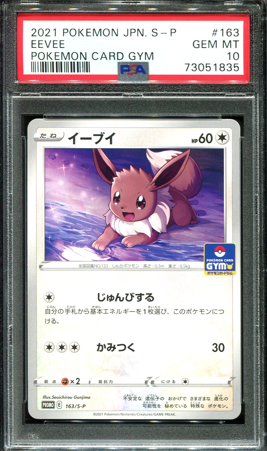 EEVEE 062/SV-P PSA 10 POKEMON YU NAGABA CAMPAIGN JAPANESE PROMO HOLO