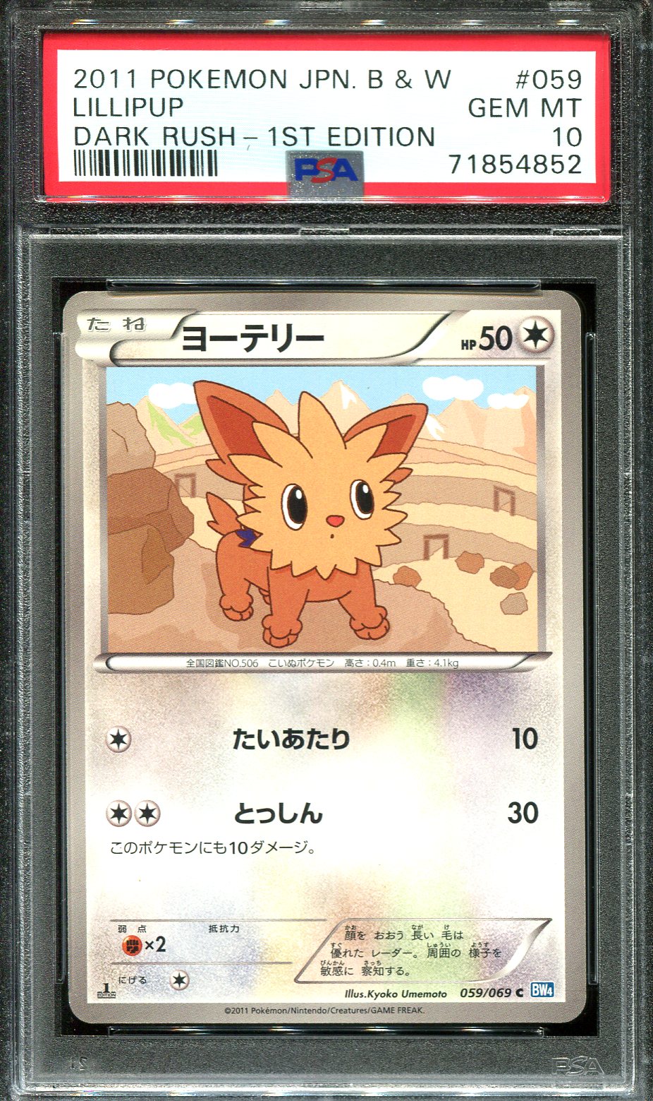 ENTEI EX 070/069 PSA 8 POKEMON DARK RUSH BW4 JAPANESE FULL ART