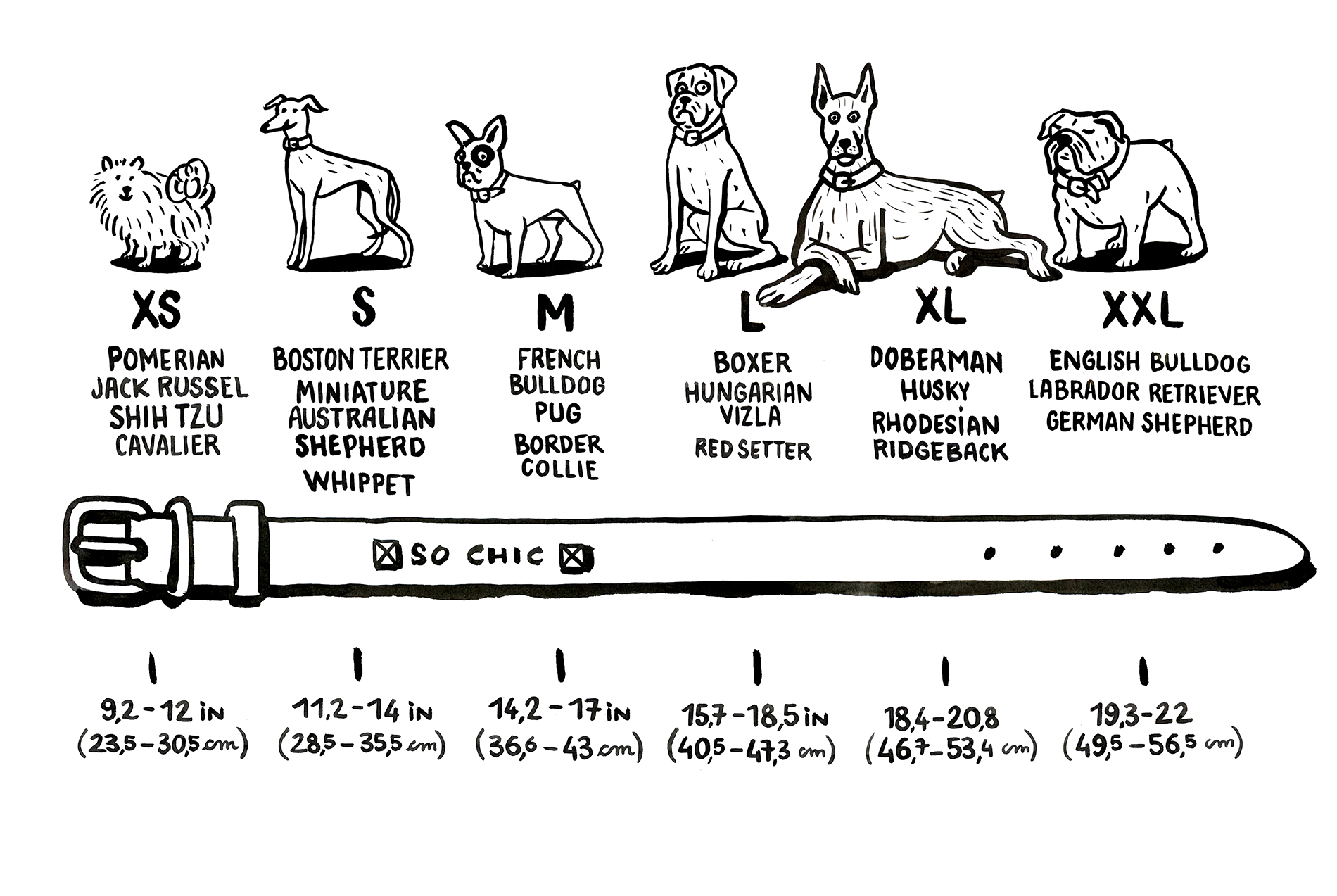 Dog Breed Size Chart