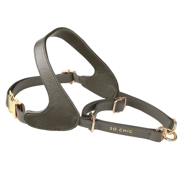 classy dog collars