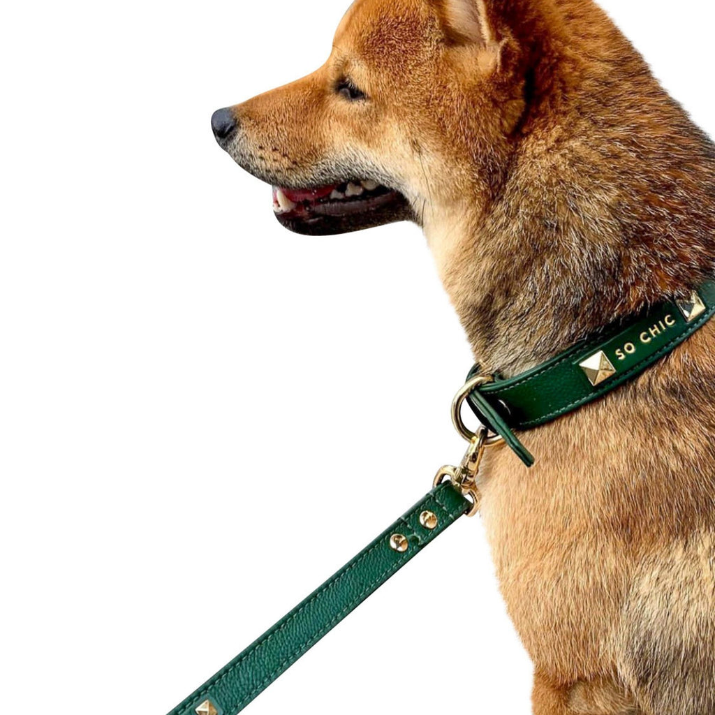 forest green dog harness