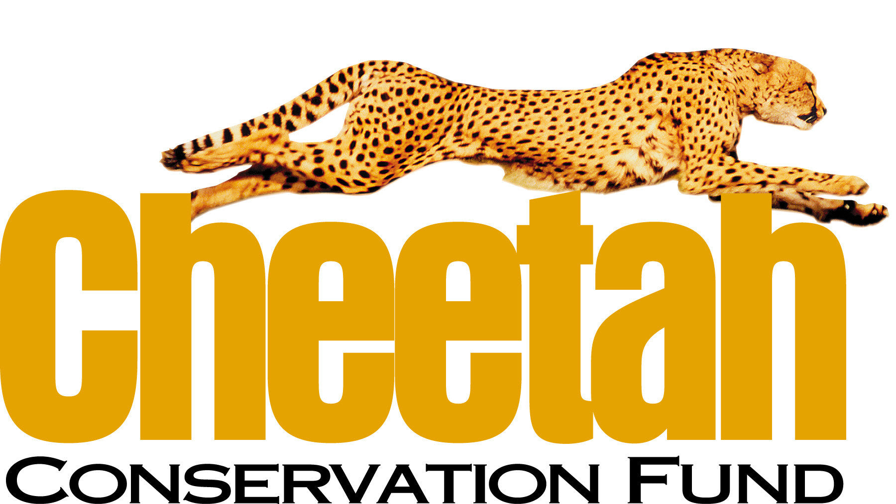 Cheetah Conservation Fund logo