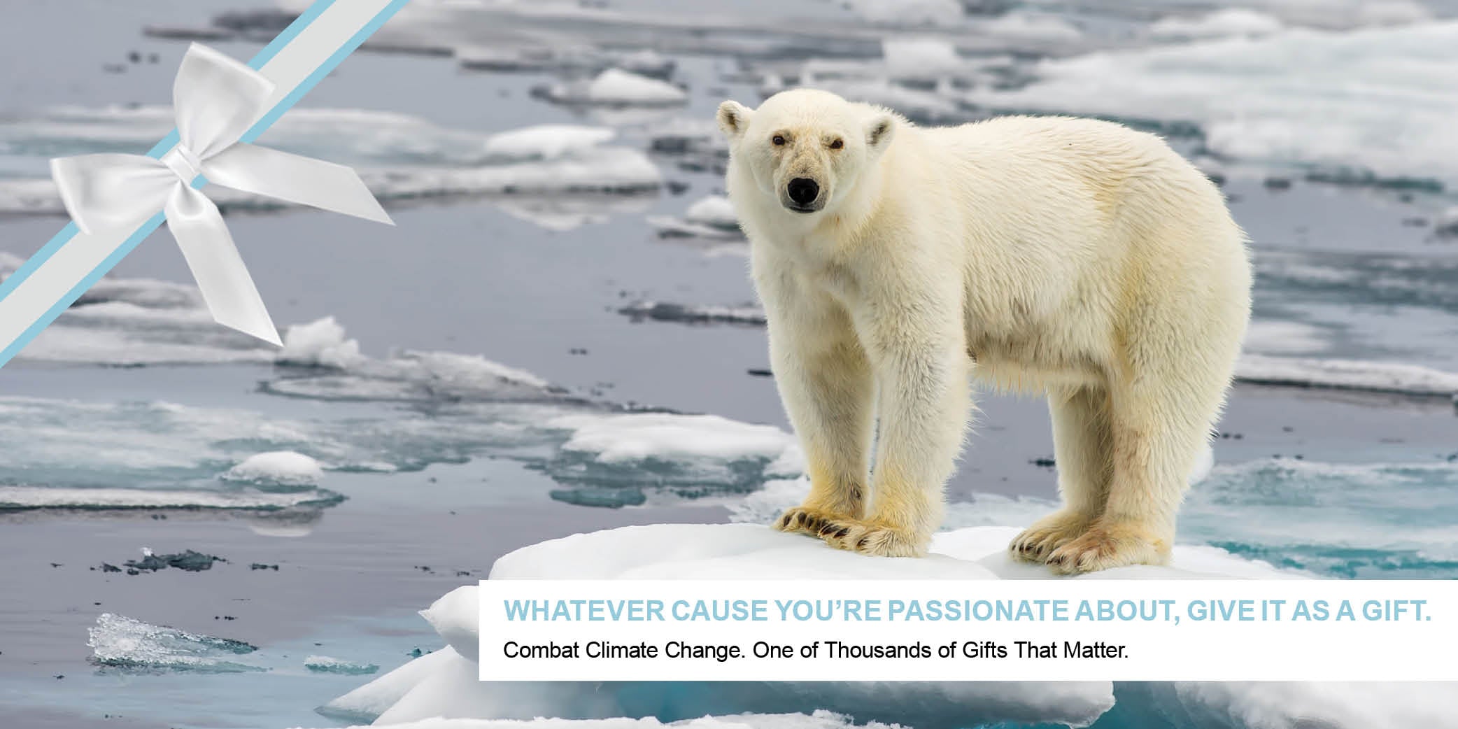 Climate Change banner