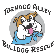 Tornado Alley Bulldog Rescue logo
