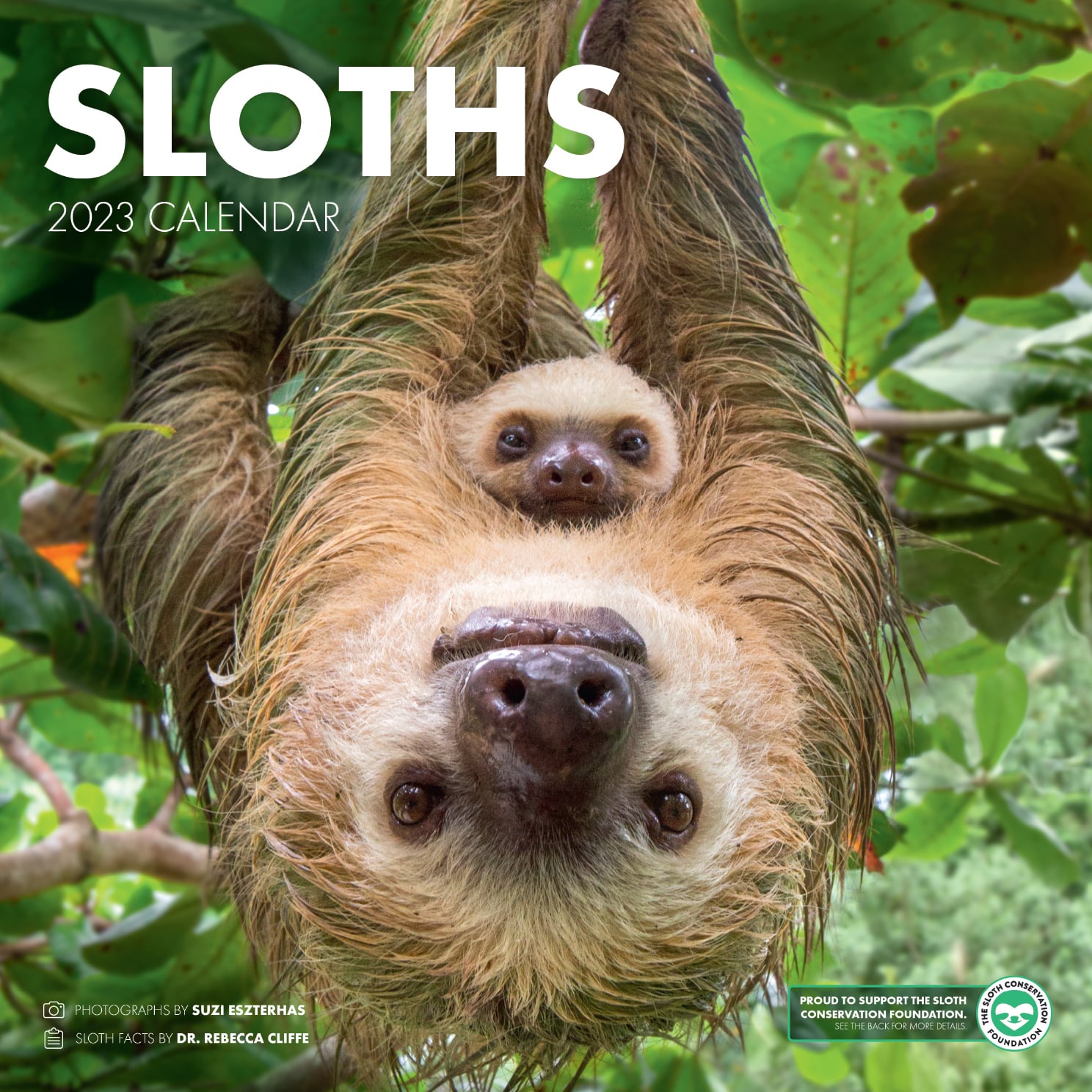 SLOTHS Wall Calendar 2023 The Sloth Conservation Foundation