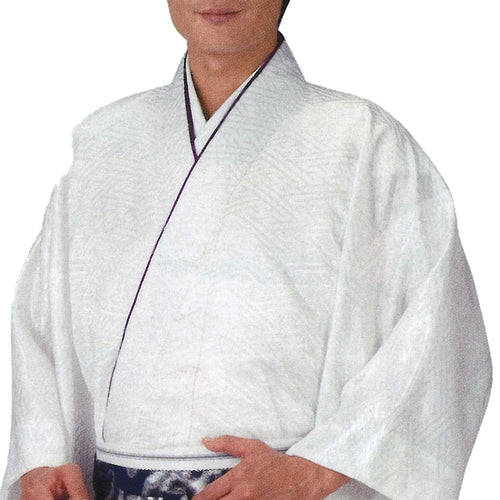 Hakamashita Kimono 8755