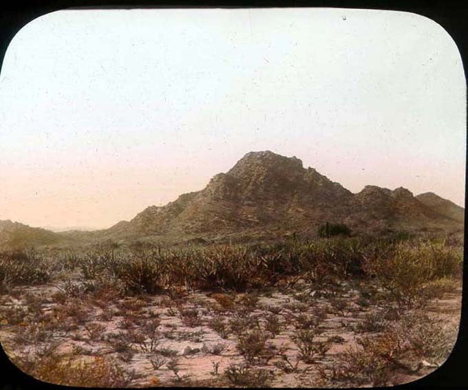 West Yorkshire Cameras Photos from the Chicago Field Museum Library