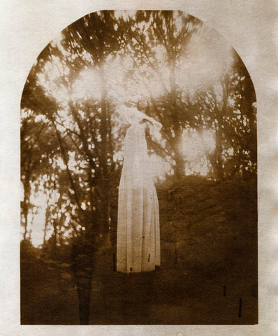 Albumen print from whole plate paper negative