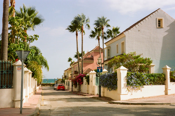 Some vibrantly-coloured houses and a palm tree in with sunlight shining on them.