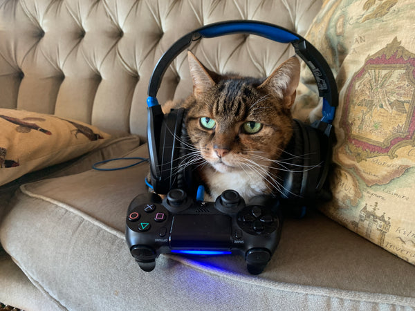 A cat wearing headphones and a controller in front of it.