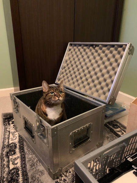 A cat in a protective flight case.