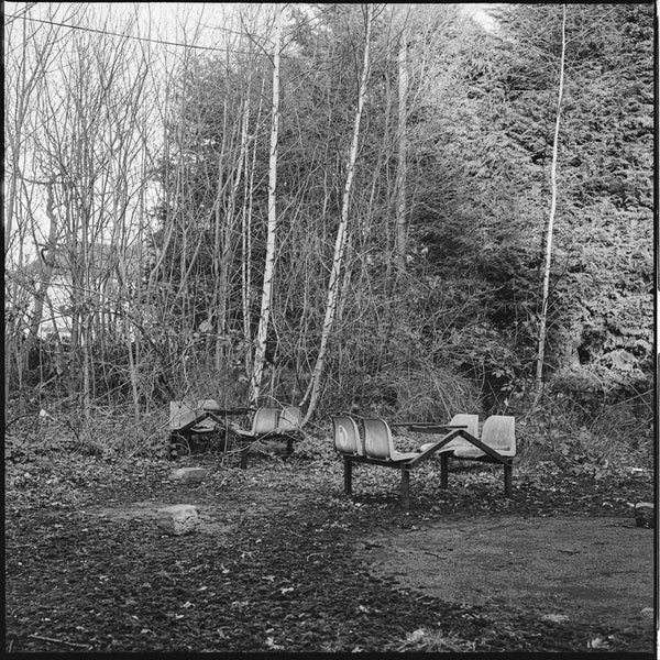 Black and white abandoned seats in the middle of a forest.