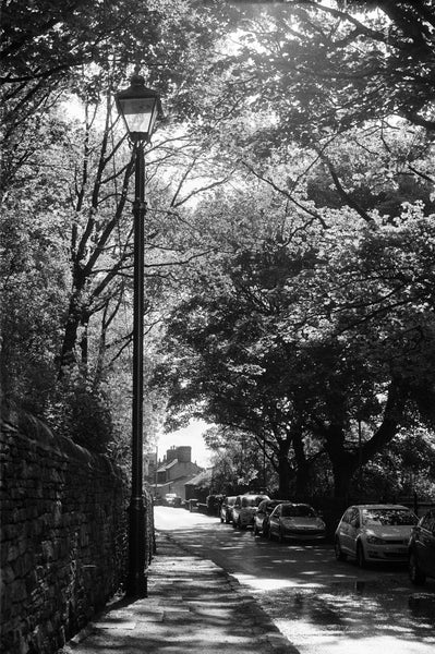 A streetlight with light shining through the back in black and white.