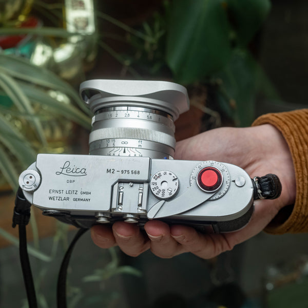 Leica M2 with bright red button being held in front of plants.