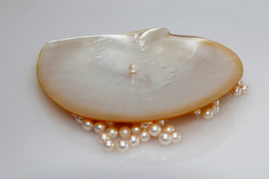 Perlas - Perlas del Mar del Sur