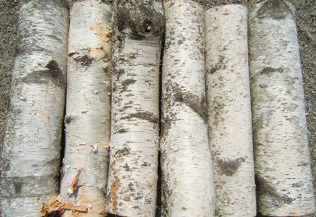 where to buy birch wood for crafts