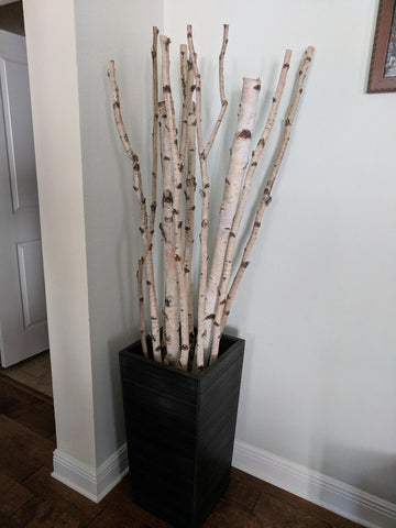 Birch Pole Decor