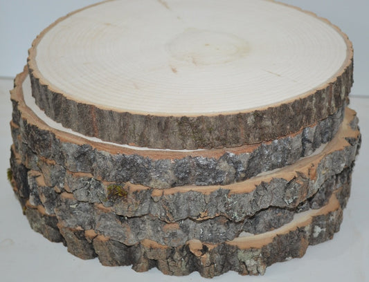 Balsam Fir Wood Slices - Ten 5 to 7 diameter x 3/4 to 1 thick Whol –  Spirit of the Woods, Inc