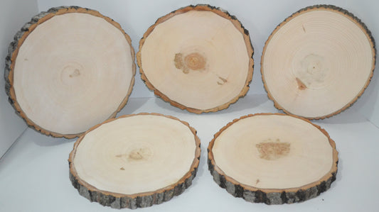 Aspen Wood Slices 9 to 11 diameter x 1 thick Package of 10. Wholesa –  Spirit of the Woods, Inc