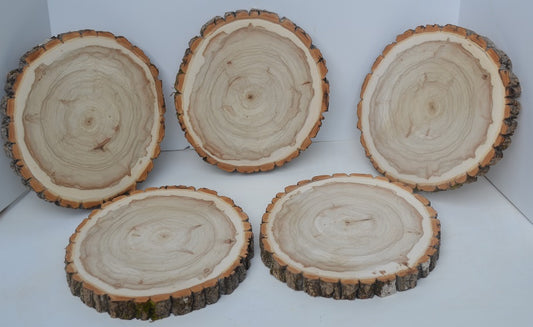 Balm of Gilead Wood Slices 9 to 11 diameter x 1 thick with Food Gra –  Spirit of the Woods, Inc