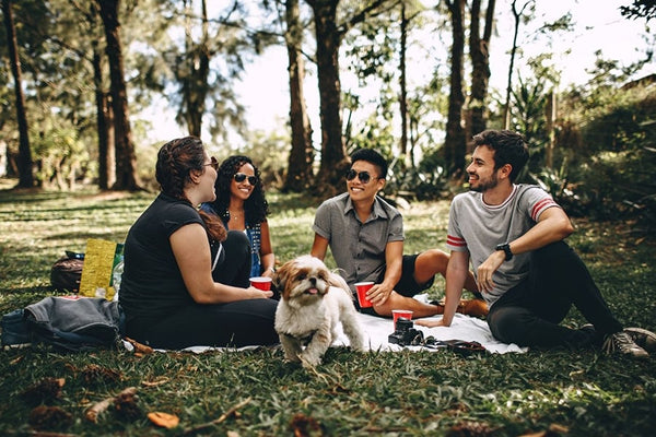 Group of friends joyously celebrating a coming out announcement in a park, exemplifying strong support and unity within the LGBTQ+ community.