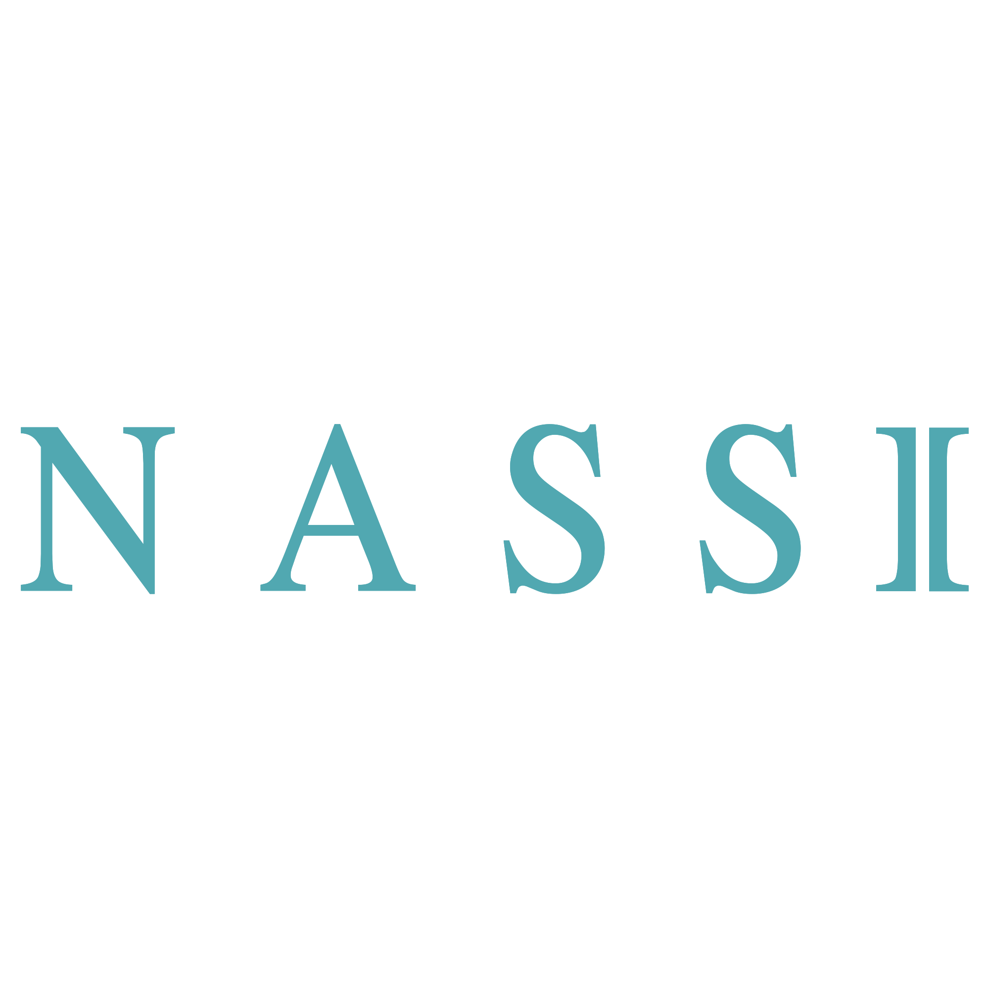 www.nassi.net.br