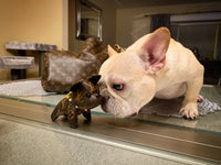 gucci french bulldog keychain