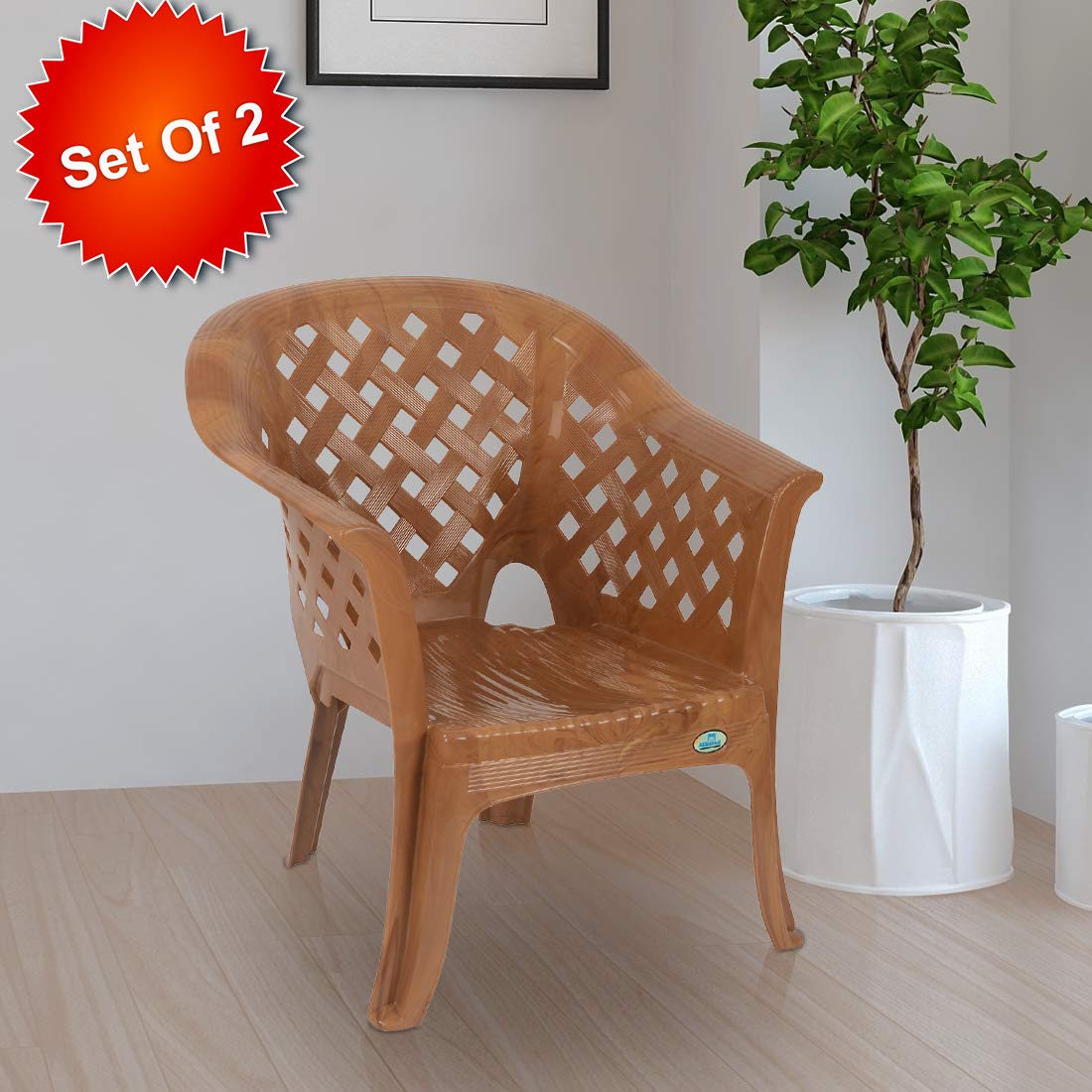 solocane plastic chair