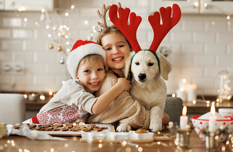 Tips for Pet Safety During the Holidays