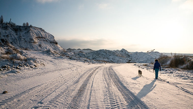 Winter scenery