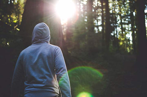 A man with a hoodie in the forest 